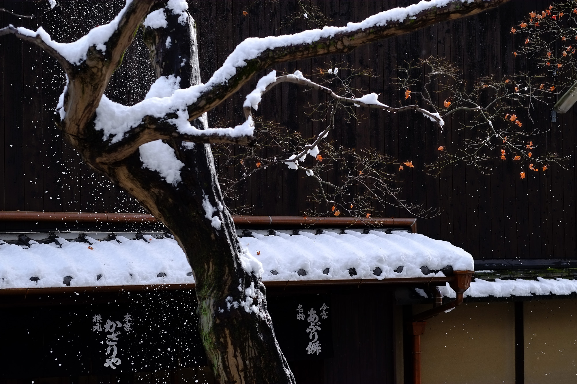 冬の風景 垂り雪 枝より落ちる雪の舞 はなものがたり 松尾誠司写真集 花物語 冬の風景 垂り雪 枝より落ちる雪の舞 はなものがたり 松尾誠司写真集 花物語