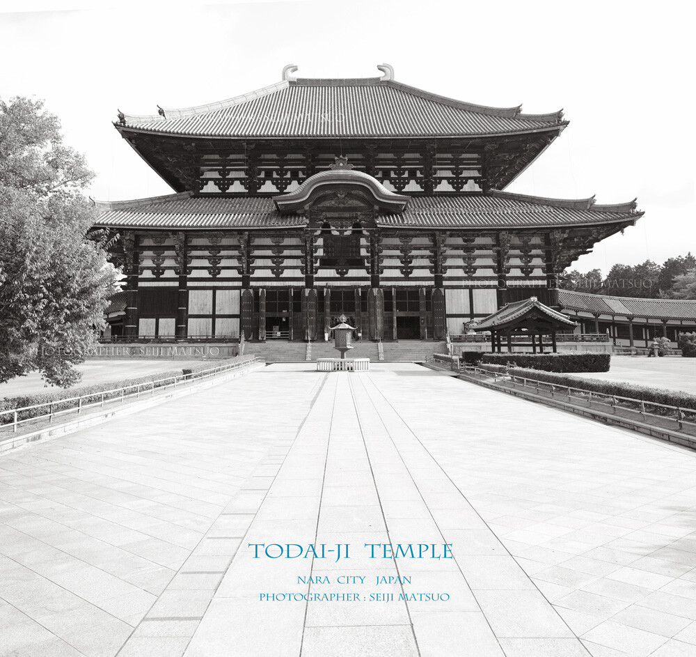 奈良 東大寺 こんな大きい大仏を造る 今風に言えば むちゃぶり でしょうね はなものがたり 松尾誠司写真集 花物語