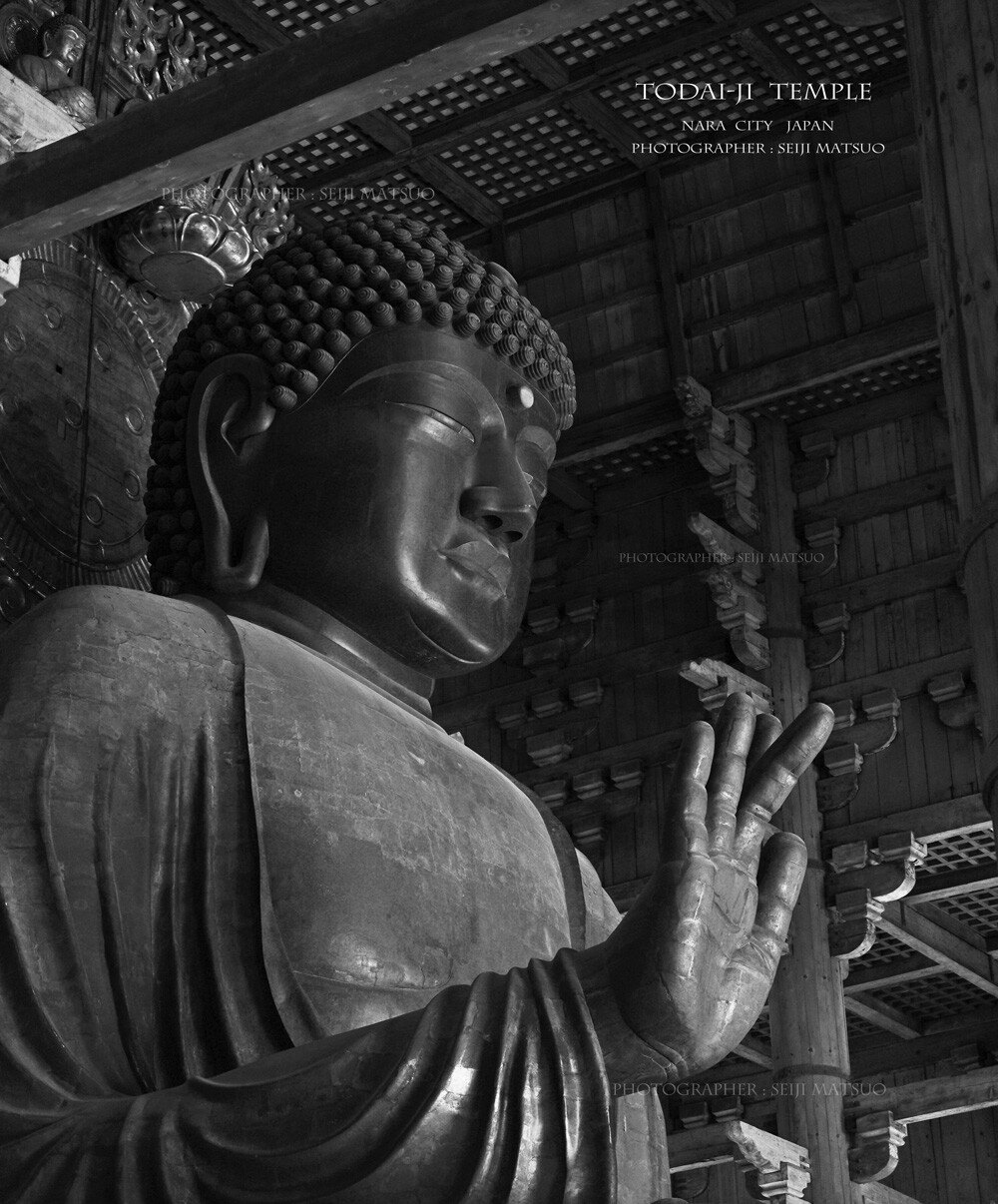 奈良 東大寺 こんな大きい大仏を造る 今風に言えば むちゃぶり でしょうね はなものがたり 松尾誠司写真集 花物語