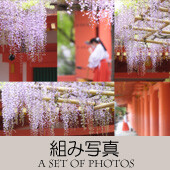 2024ＴＯＰアイコン-06-組み写真-170