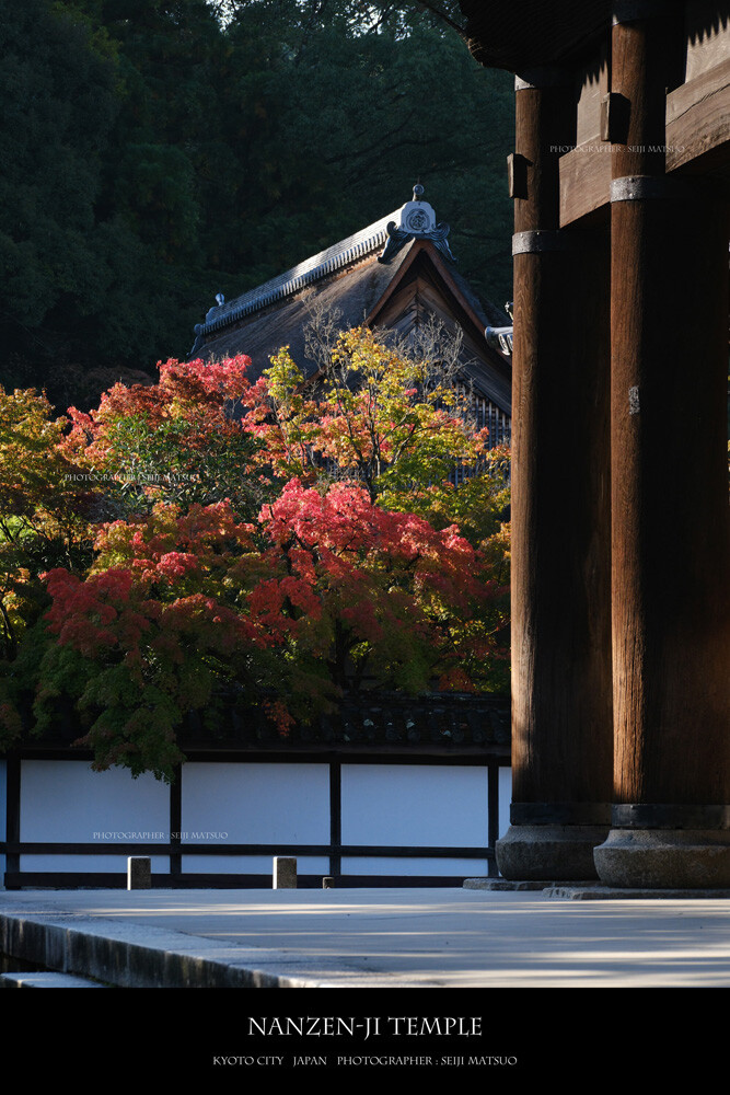 A-2024111305-南禅寺DSCF8649