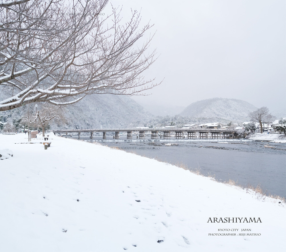 京都 嵐山 冬の風景 ワクワク ルンルン一面の雪景色 のはずが はなものがたり 松尾誠司写真集 花物語