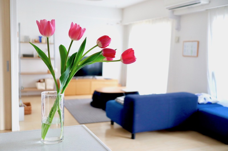 2506102690589956353_IMG_9308