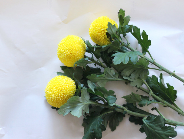 [画像:5b3de801-s.jpg]