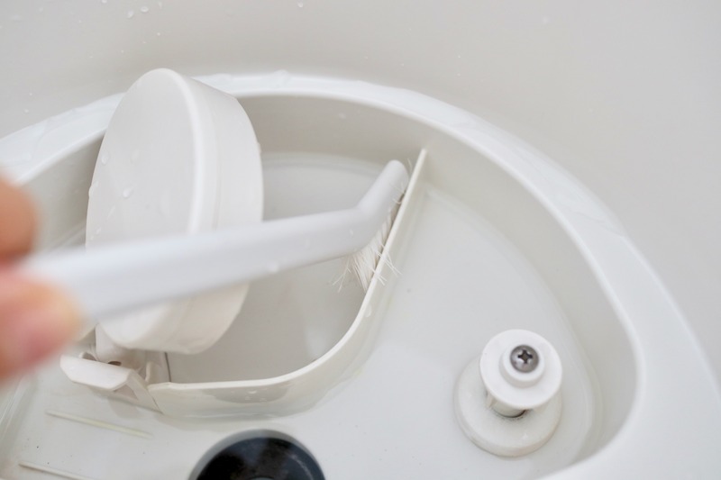 10765069184_IMG_7147