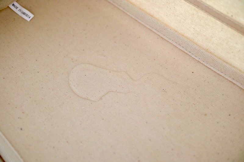 -7576382453921660321_IMG_2104