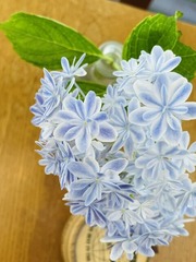 2026-5���۲�