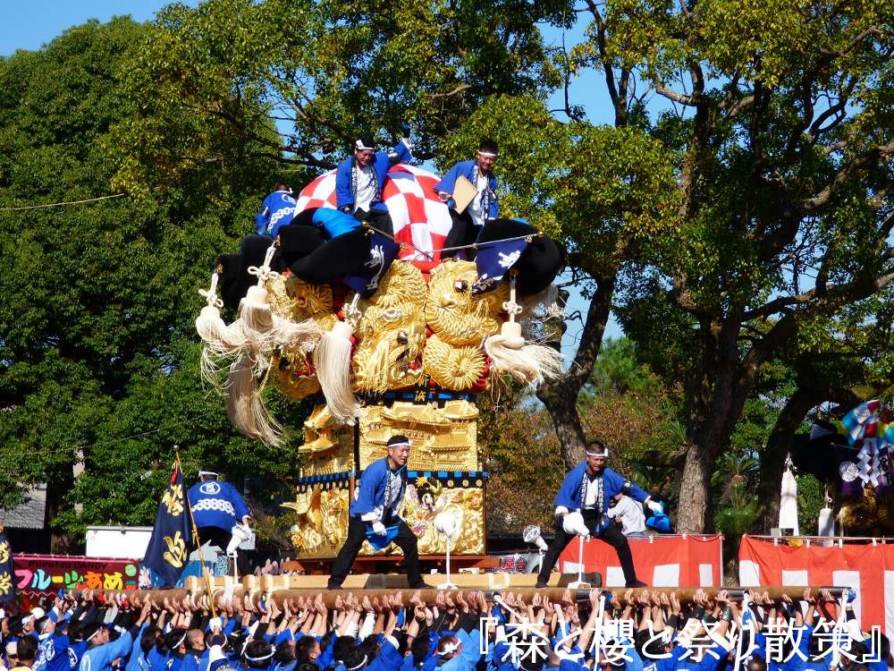 15年10月18日 新浜太鼓台 森と櫻と祭り散策 15年10月18日 新浜太鼓台 森と櫻と祭り散策