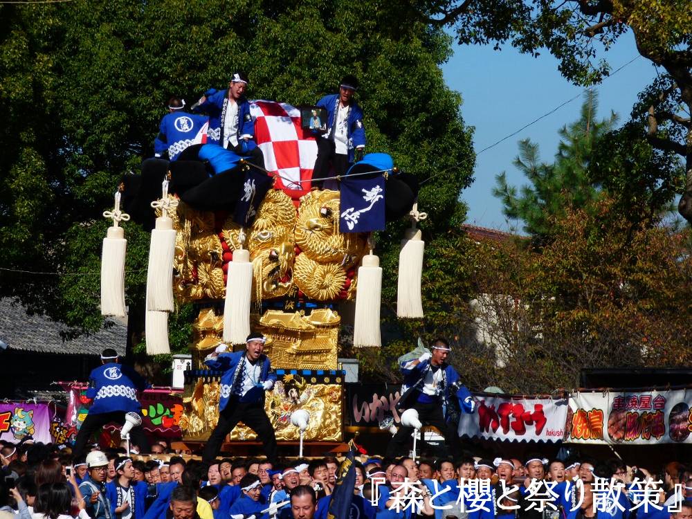 15年10月18日 新浜太鼓台 森と櫻と祭り散策 15年10月18日 新浜太鼓台 森と櫻と祭り散策