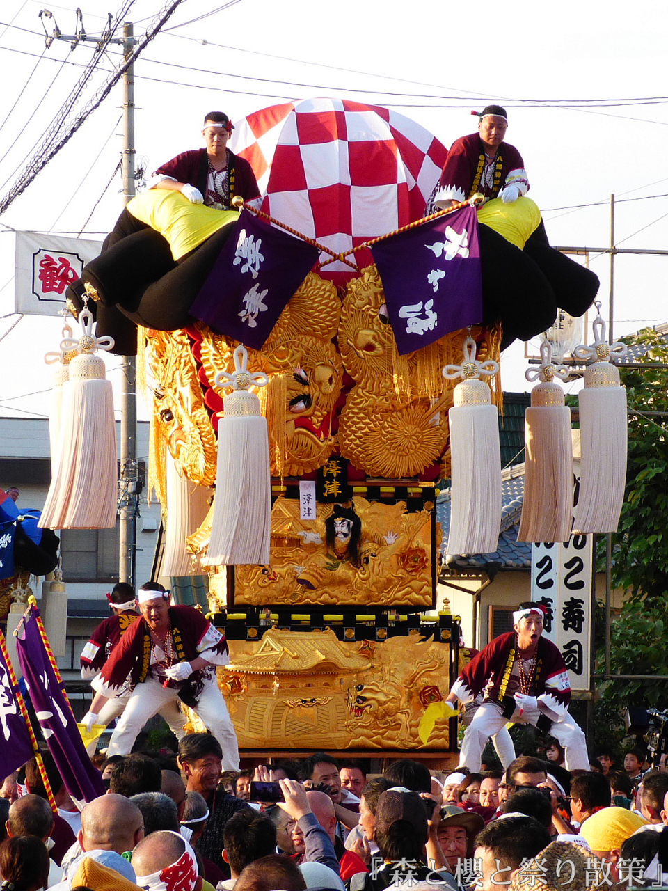 2018年10月16～18日 澤津太鼓台 : 『森と櫻と祭り散策』