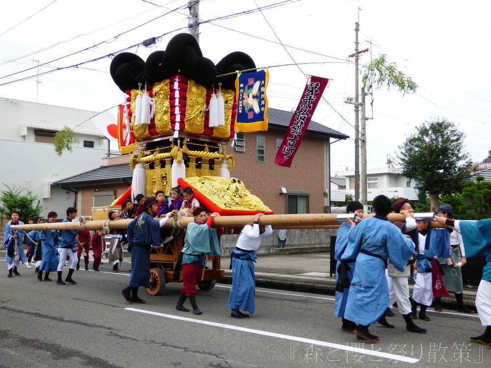 2017年10月14日 旧川之江市内を運行する太鼓台 : 『森と櫻と祭り散策』