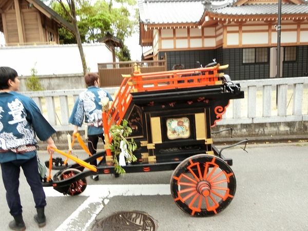 CIMG8645