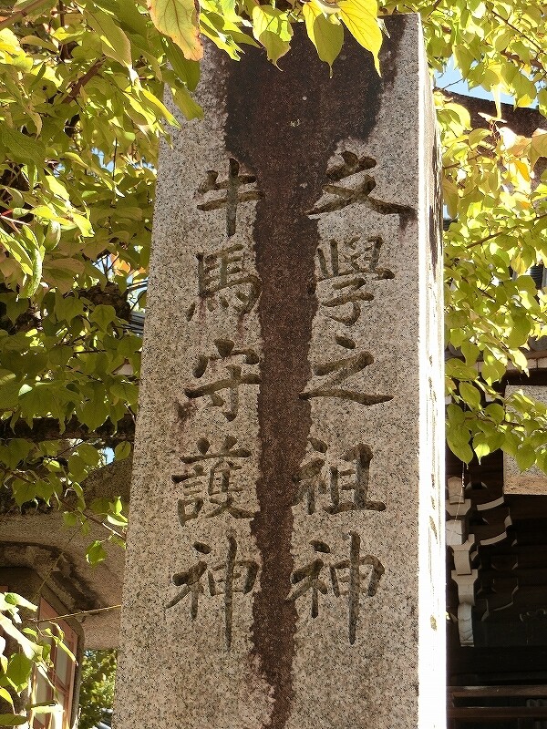 CIMG0353