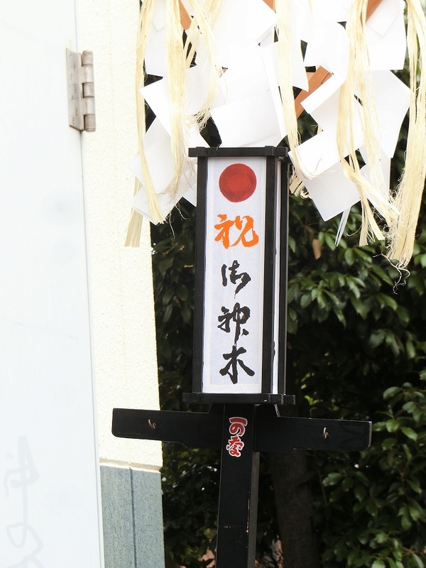 CIMG8597