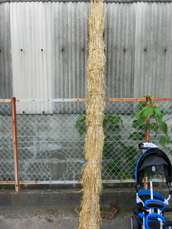 [画像:047166e0.jpg]