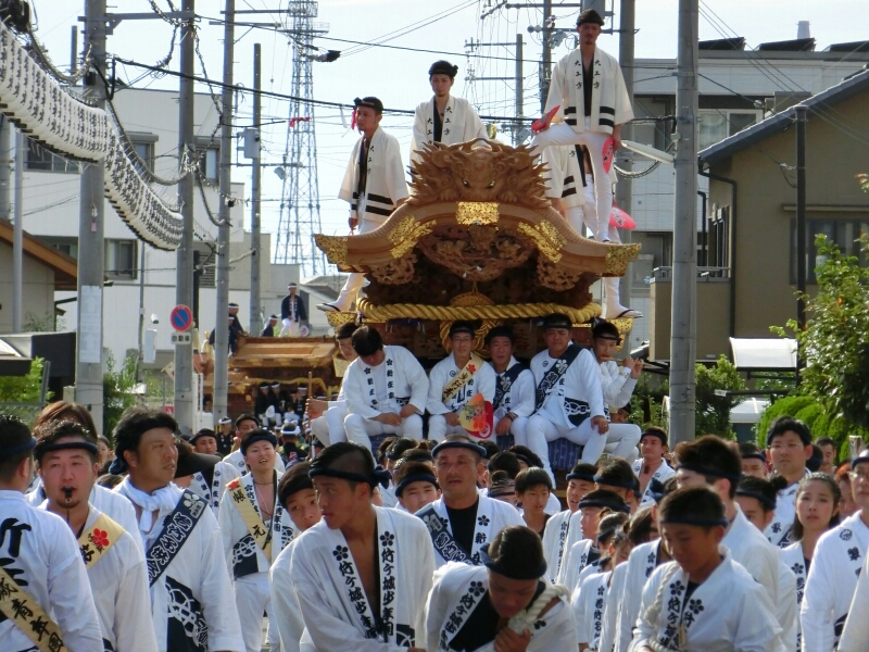 堺市 鳳だんじり祭り 試験曳き 神社前2f特設祭事場 堺市 鳳だんじり祭り 試験曳き 神社前2f特設祭事場