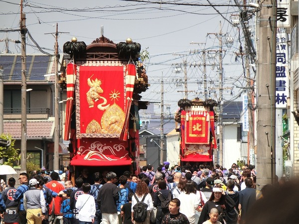 CIMG7173