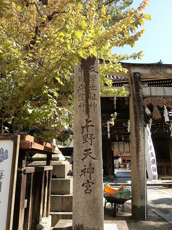 CIMG0352