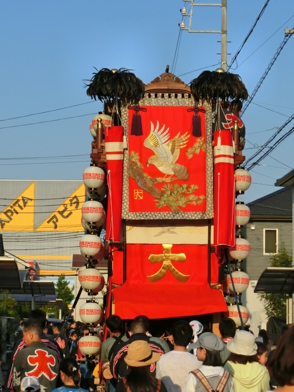 CIMG1113
