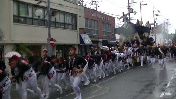 [画像:306809db-s.jpg]