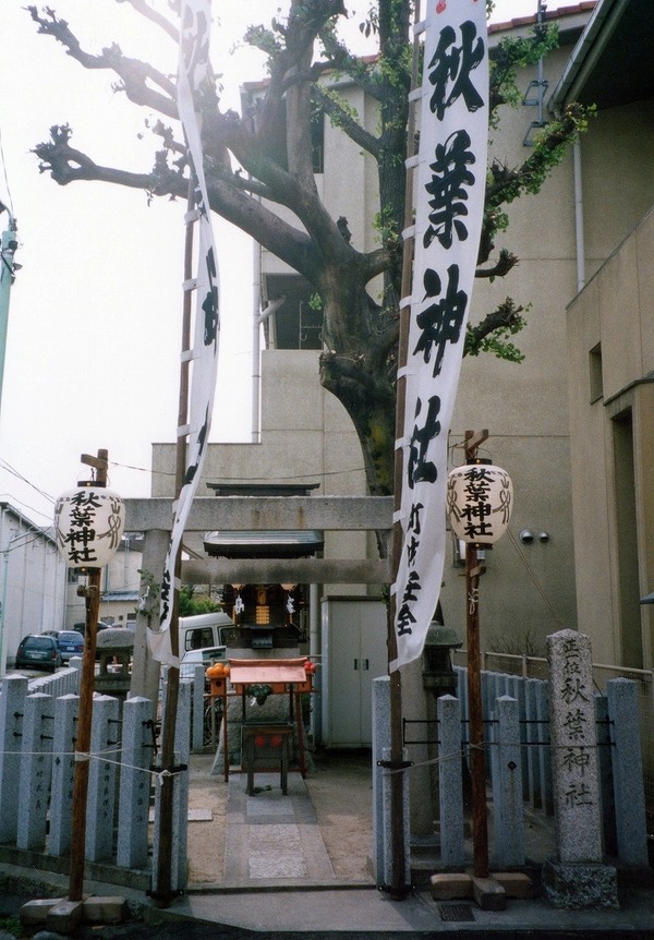 img578