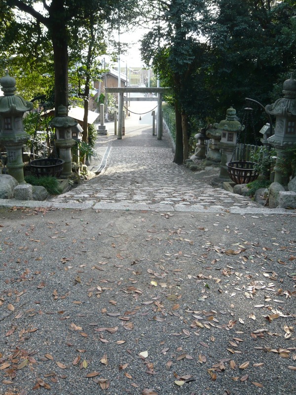 21-06-12-00-19-16-399_deco