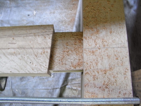 RIMG6494