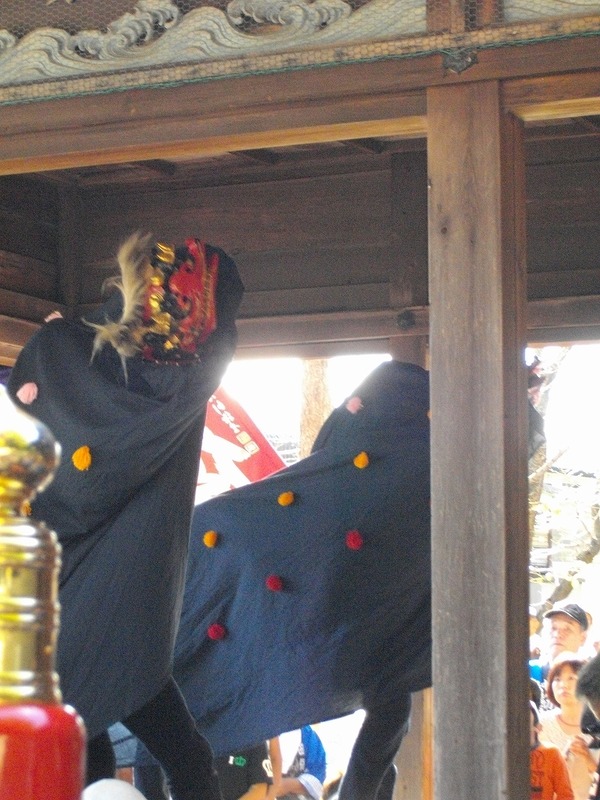 IMGP3065