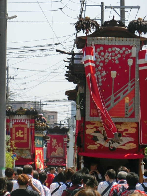 CIMG0877