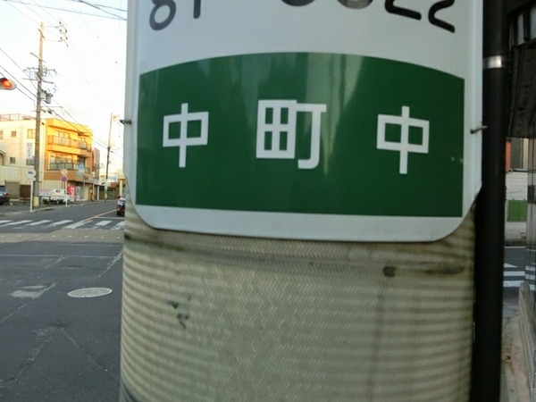 CIMG1246