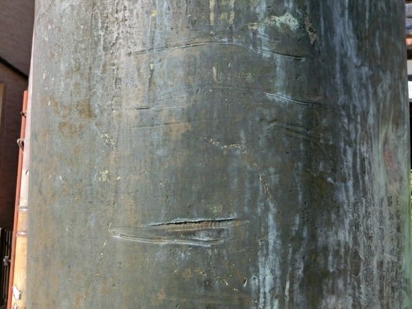 [画像:5815a636-s.jpg]