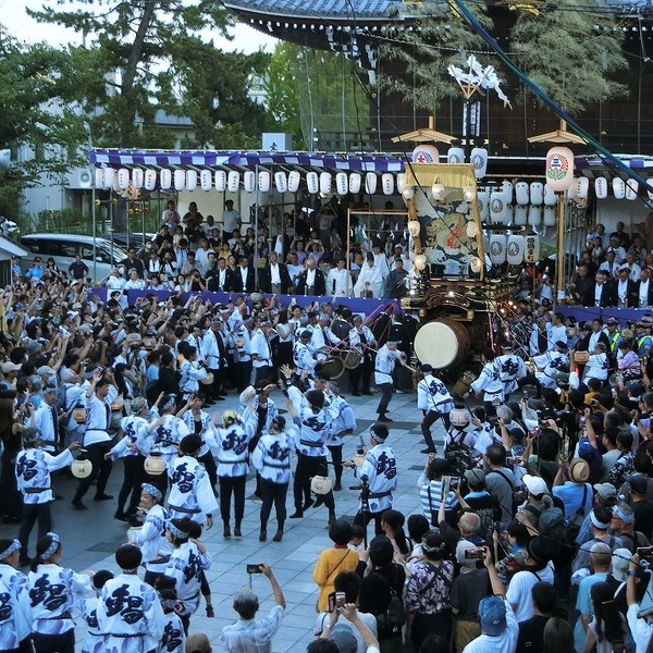 25-11-14-04-52-18-237_deco