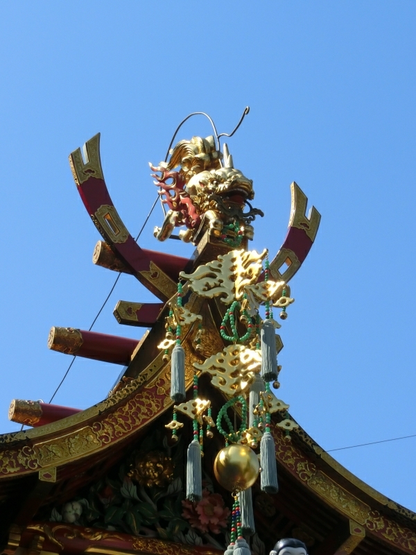 CIMG0305