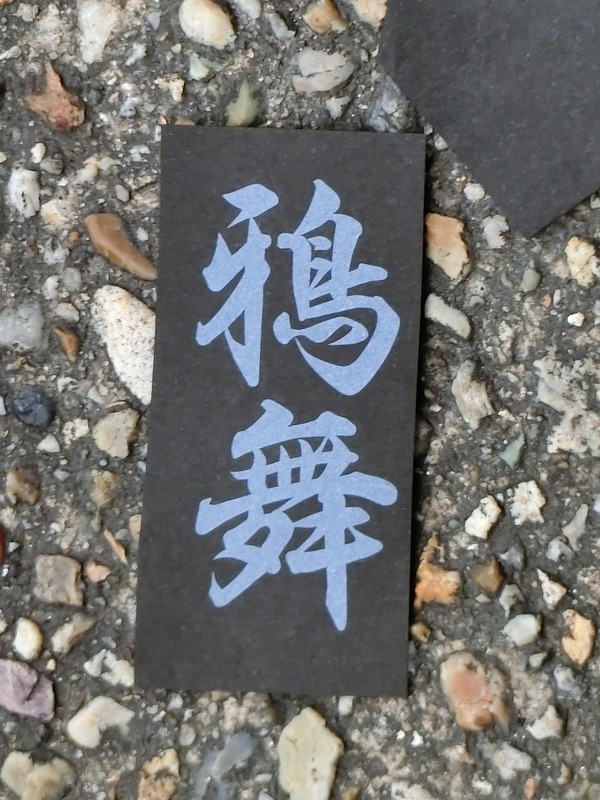 CIMG4059