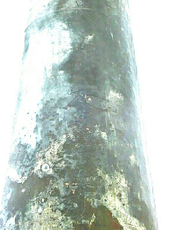 [画像:a7643679.jpg]