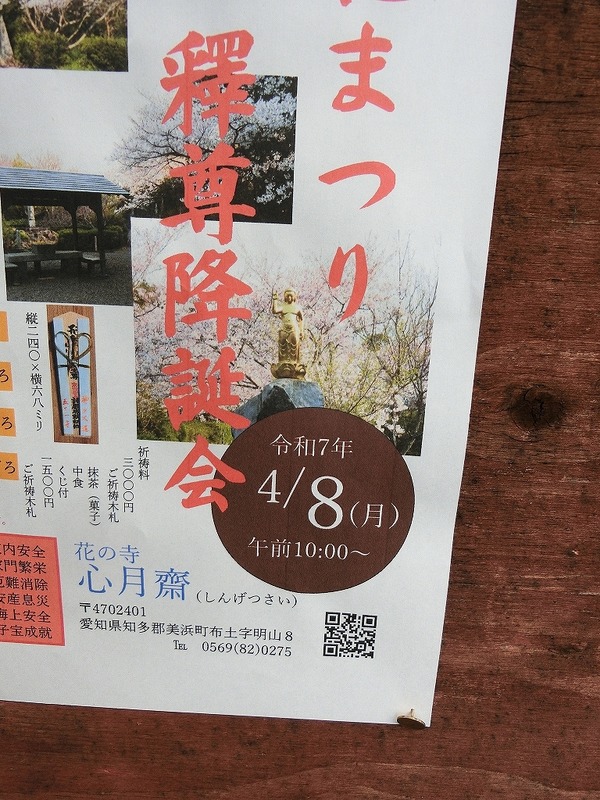 CIMG5966