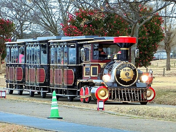 18-02-12-20-31-29-065_deco