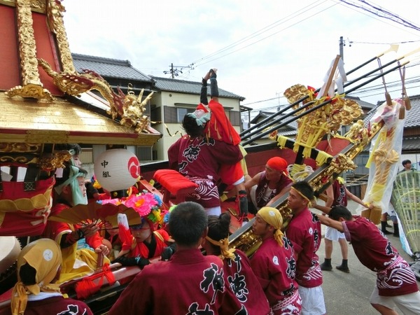 [画像:b1eb31ad-s.jpg]