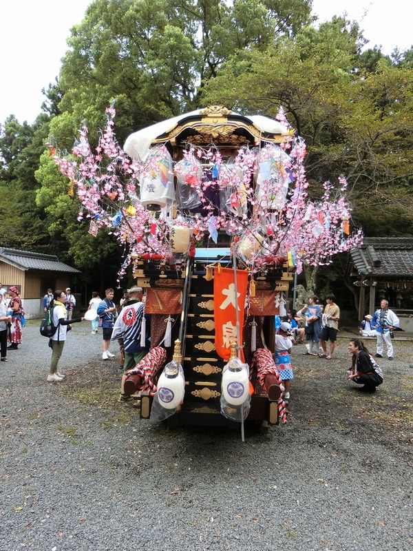 7516226