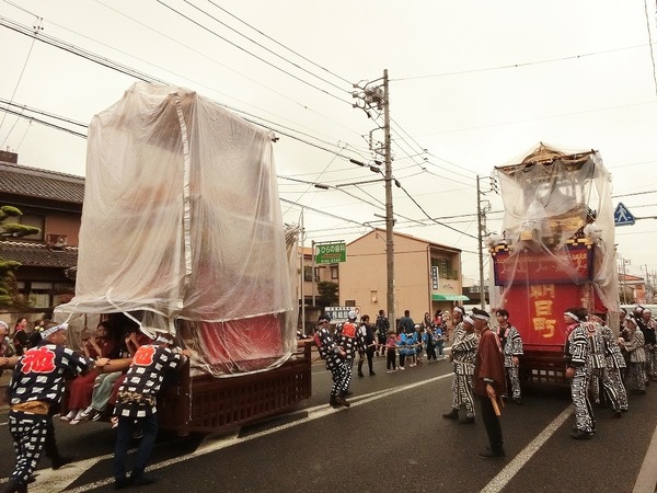 CIMG2984