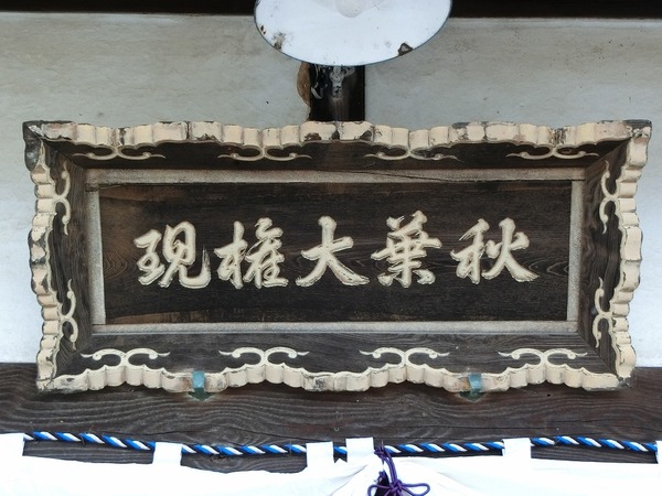 CIMG7089