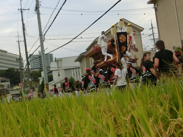 [画像:e6ab1537-s.jpg]