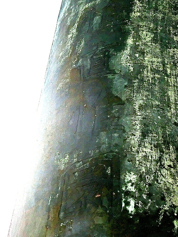 [画像:e8de8466.jpg]