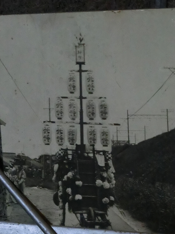 CIMG3126