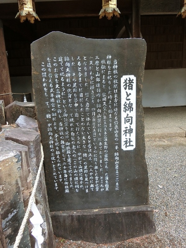 CIMG8334