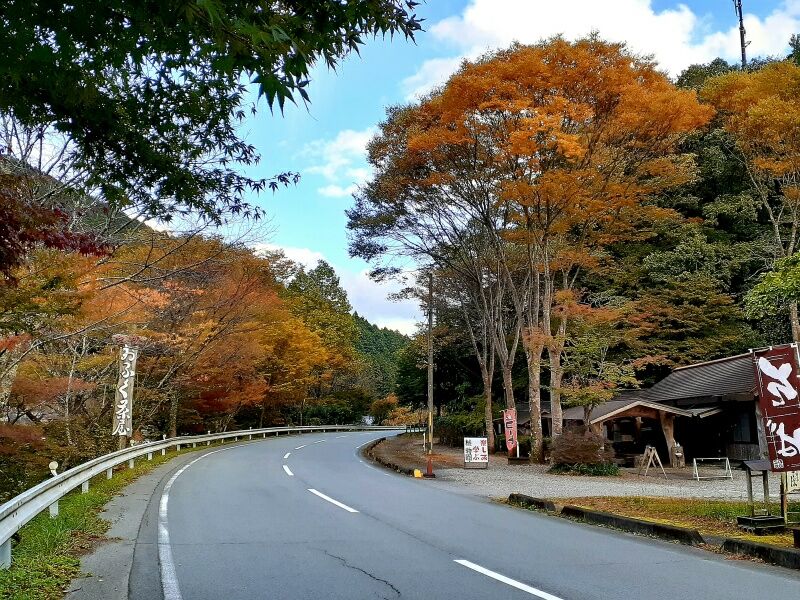 波瀬の景色 : 松阪わんわんパラダイス 森のホテルスメールのblog