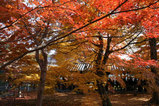 0974d3f1.jpg