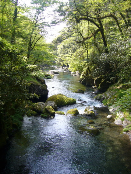 P1000095
