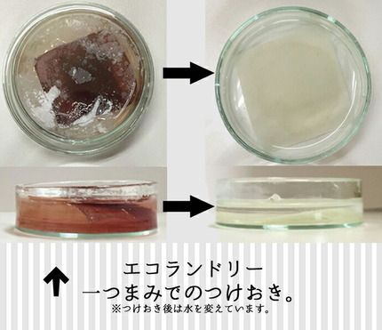 パウデオエコランドリー2