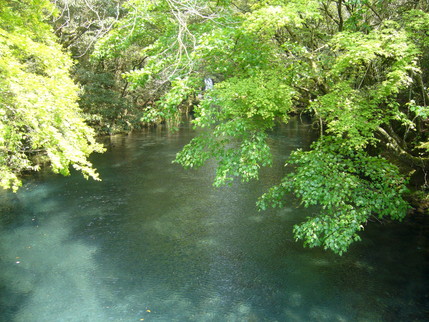P1000087